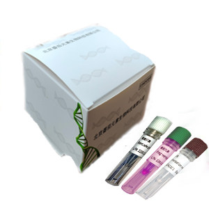 单细胞全基因组扩增试剂盒（MDA）