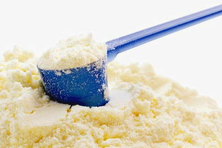 奶粉进口报关代理天津奶粉乳制品进口报关公司