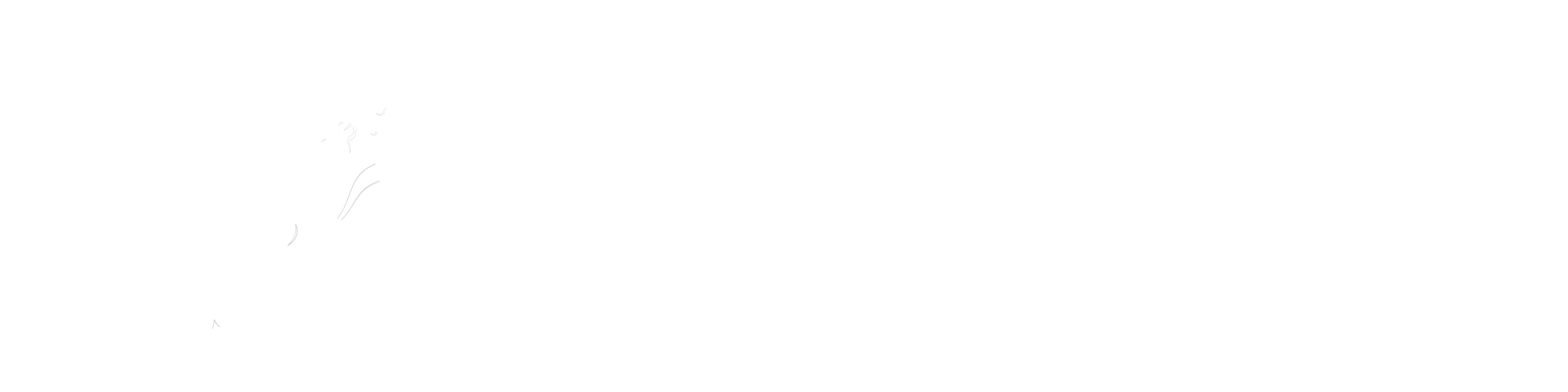 create