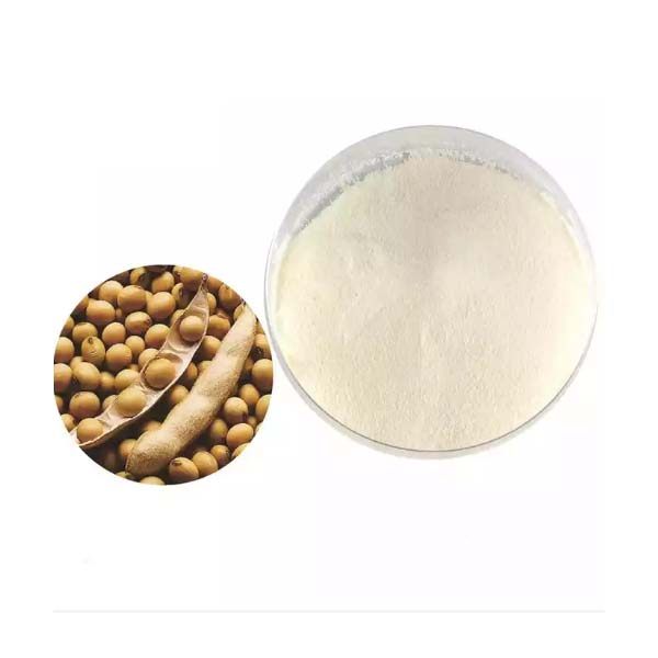 Soy Protein Isolate-大豆分离蛋白