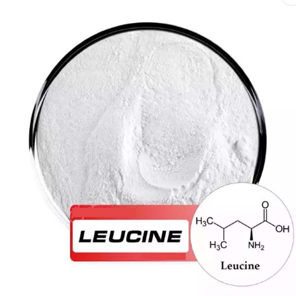 L-Leucine-亮氨酸