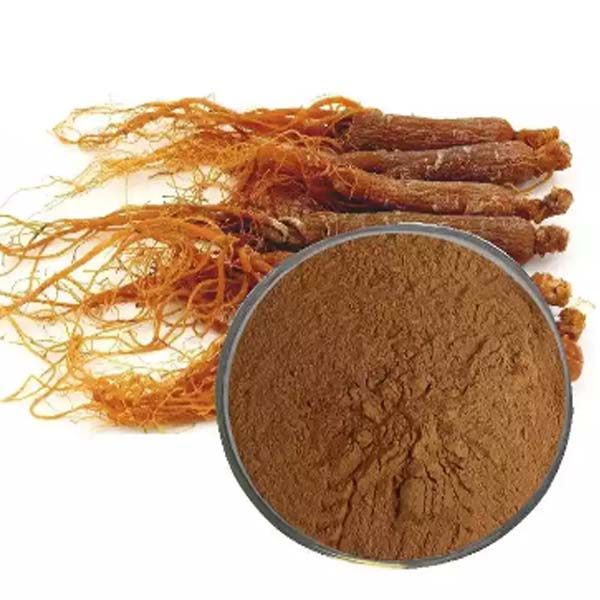 Ginseng Extract-Ginsenoside-人参提取物