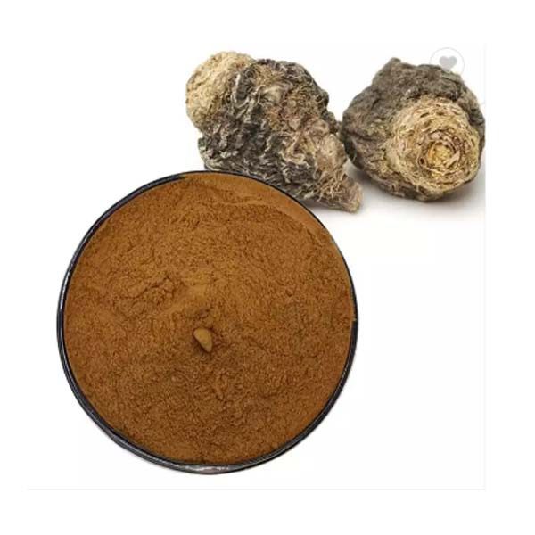 Maca Extract-玛卡提取物