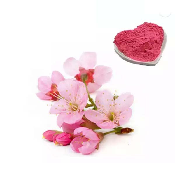 Oriental cherry powder Extract-樱花粉提取物