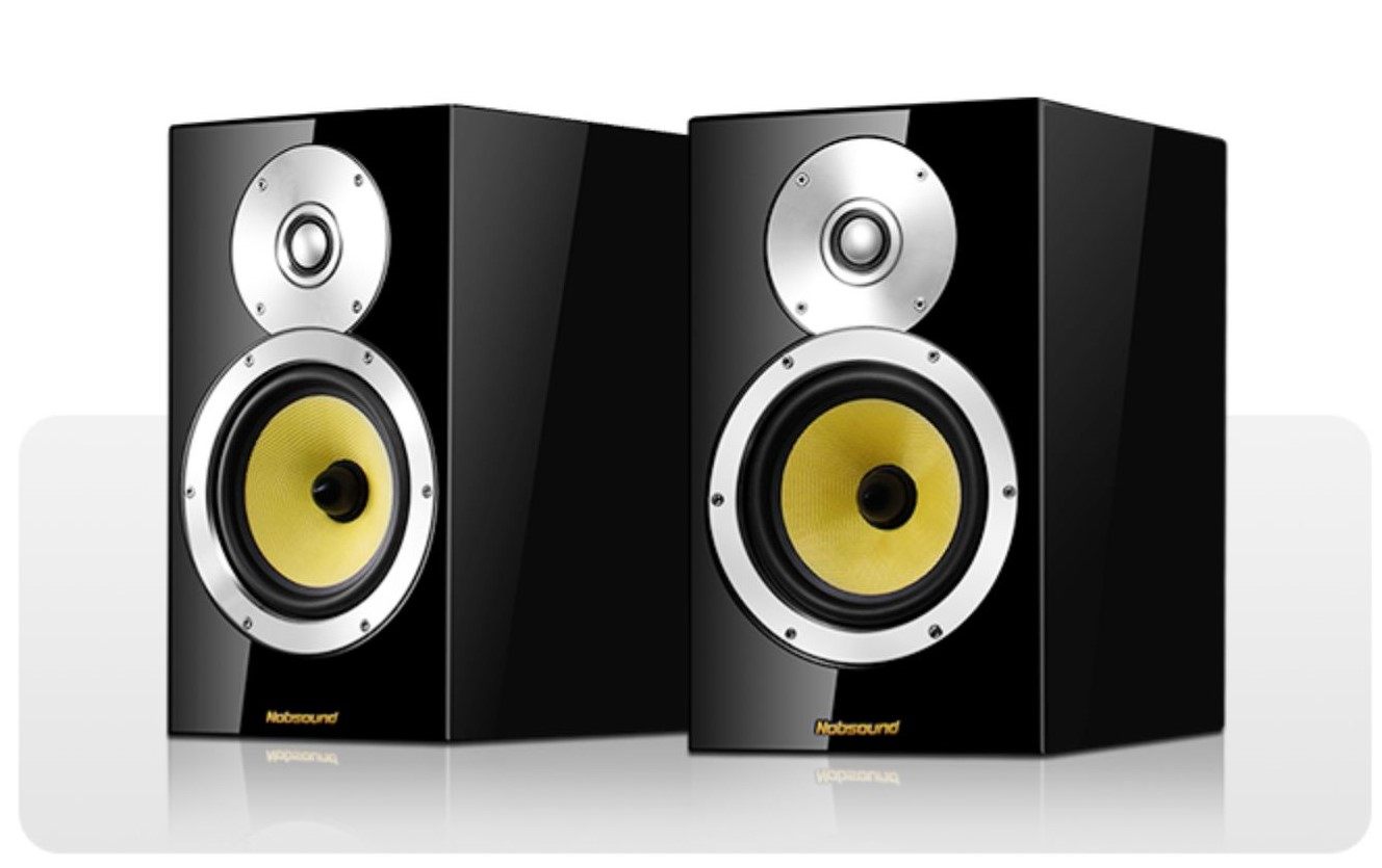 DM5 HIFI bookshelf speaker