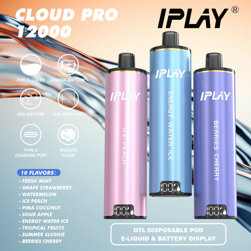 IPLAY Cloud pro 12000