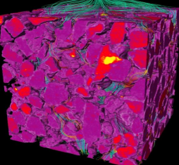 数字岩心的模型分析