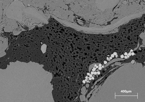 油页岩的抛光面