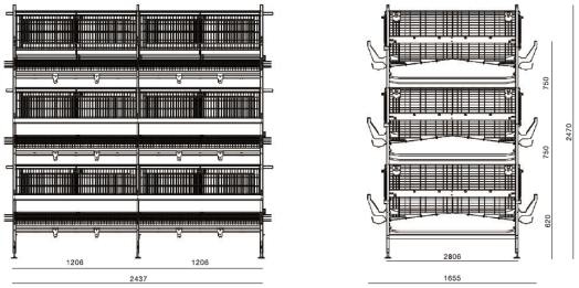 Laminated and Automated Laying Duck Raising Equipment