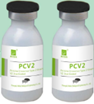 Porcine Circovirus Type 2 Strain YZ, Inactivated