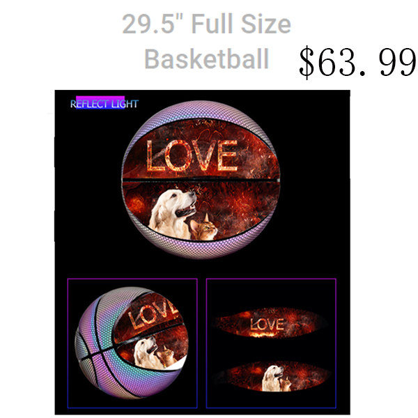 Basketball Large Reflective Pet