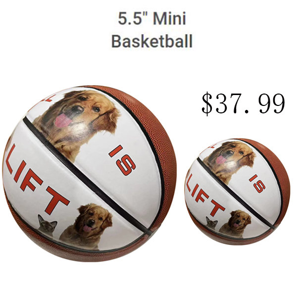 Basketball Small Reflective Pet 2