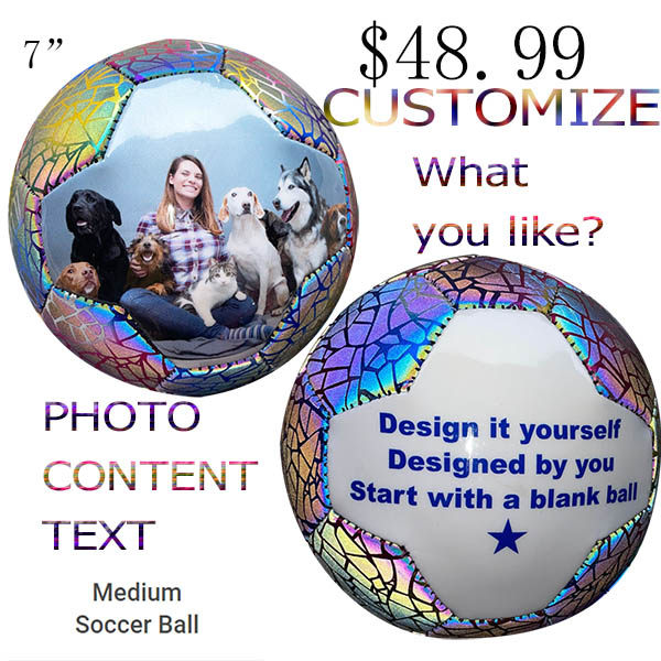 足球小尺寸双面宠物