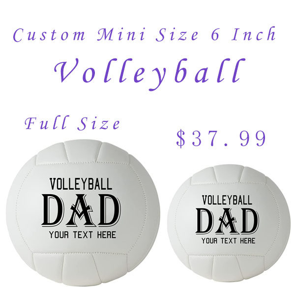 排球小尺寸DAD一片