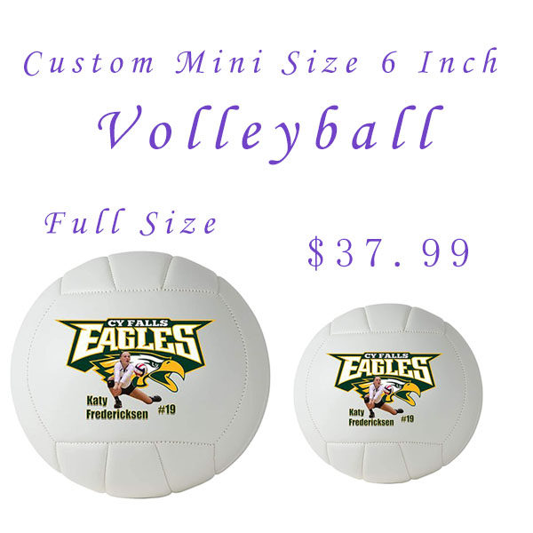 排球小尺寸个人秀一片