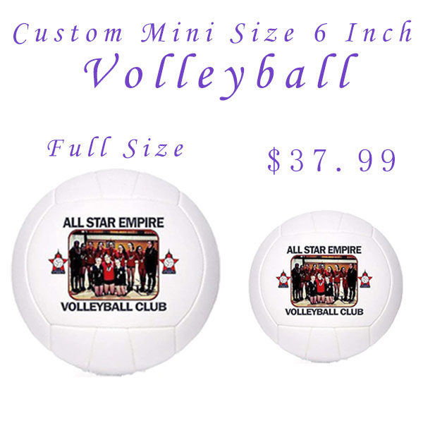 排球小尺寸团队一片