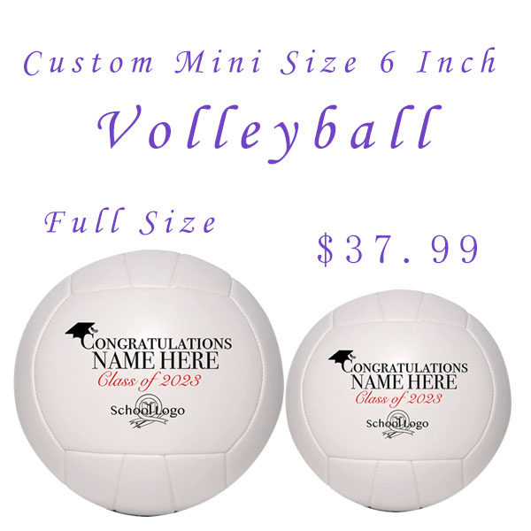 排球小尺寸学校一片