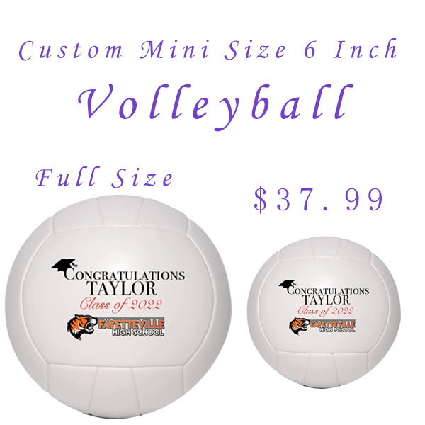 排球小尺寸班级高校一片