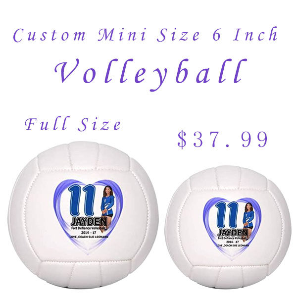 排球小尺寸签名一片