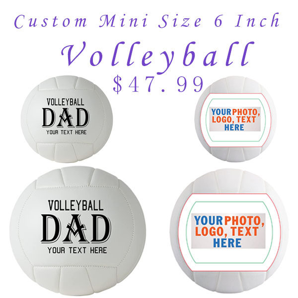 排球小尺寸DAD两片