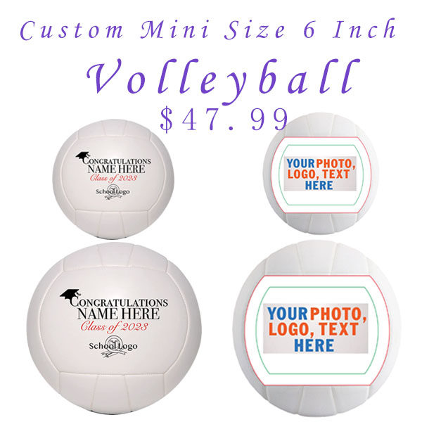 排球小尺寸学校两片