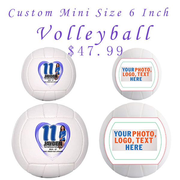 排球小尺寸签名两片