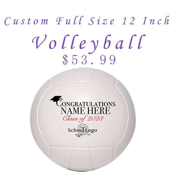 排球大尺寸学校一片