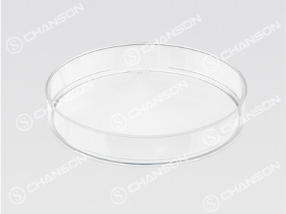 SHENZHEN CHANSON PRECISION MOLD CO., LTD