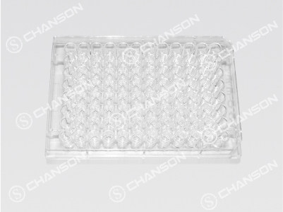 SHENZHEN CHANSON PRECISION MOLD CO., LTD