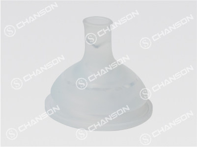 SHENZHEN CHANSON PRECISION MOLD CO., LTD