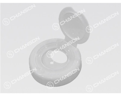 SHENZHEN CHANSON PRECISION MOLD CO., LTD