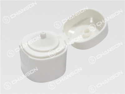 SHENZHEN CHANSON PRECISION MOLD CO., LTD