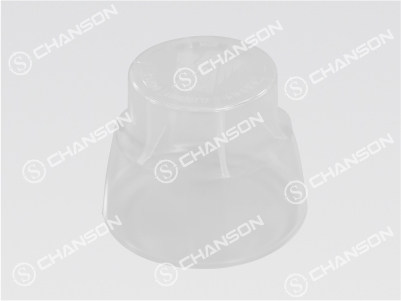 SHENZHEN CHANSON PRECISION MOLD CO., LTD