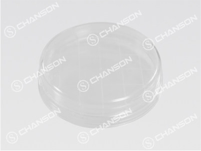 SHENZHEN CHANSON PRECISION MOLD CO., LTD