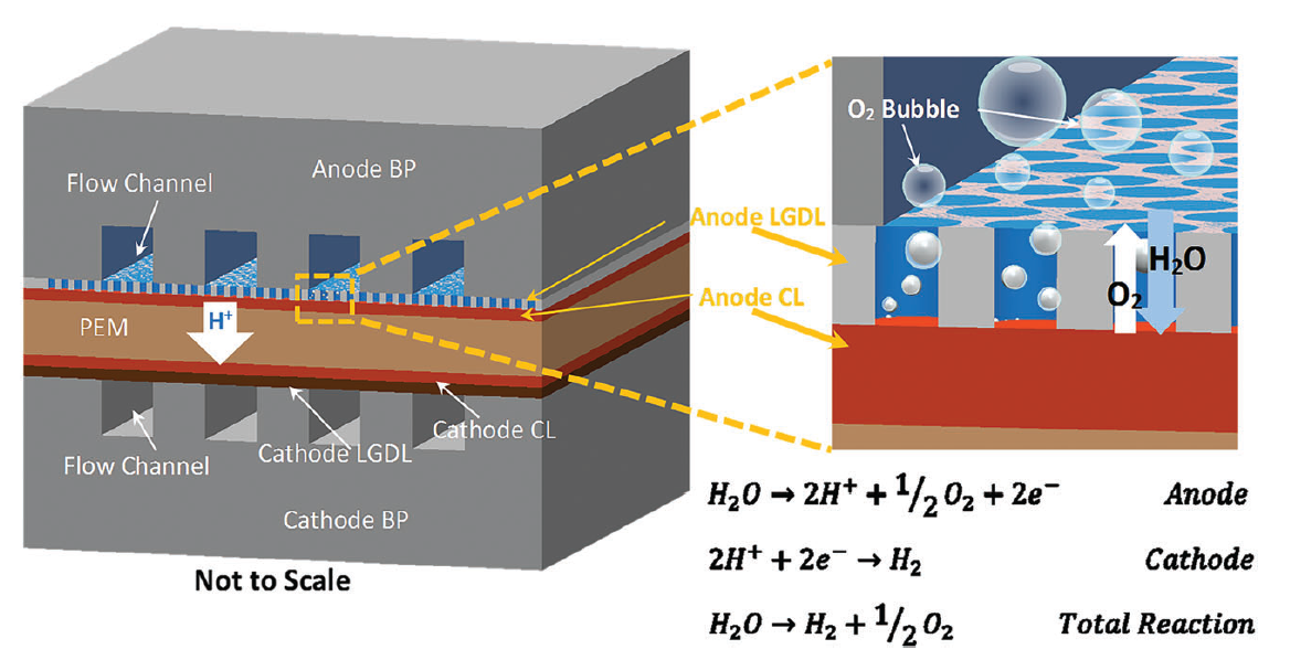 Introduction to the Porous Transport Layer (ST-PTL) of PEM Electrolytic Water Anode Through Hole Structure