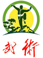 中国武术段位制查询网