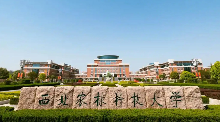 Hunan Philippines Study Abroad Consultation Service