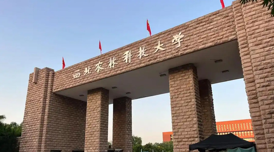 Hunan Philippines Study Abroad Consultation Service