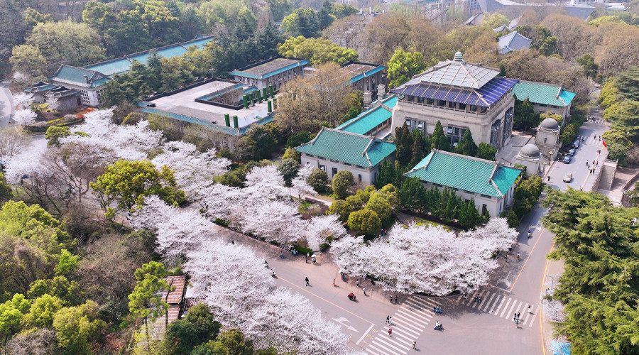 Hunan Philippines Study Abroad Consultation Service