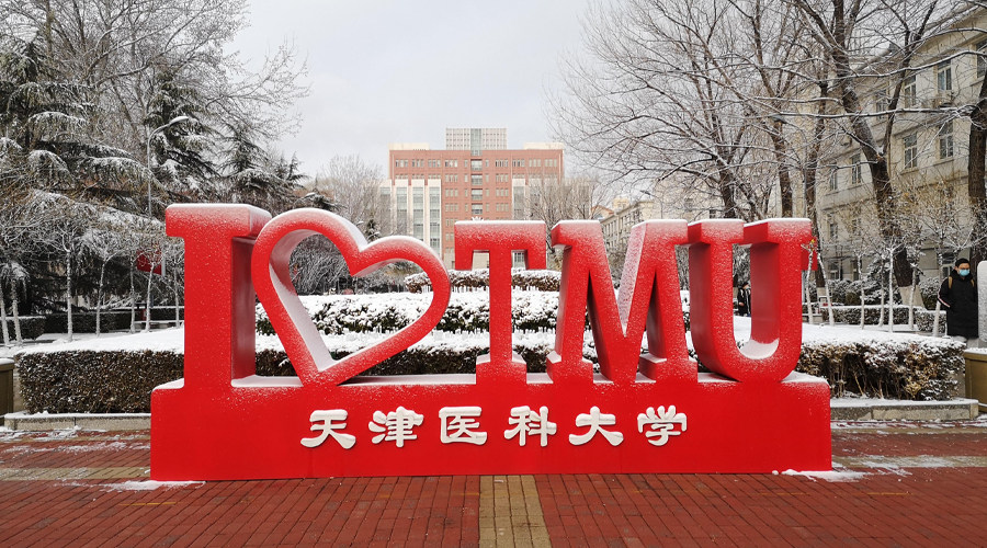 Hunan Philippines Study Abroad Consultation Service