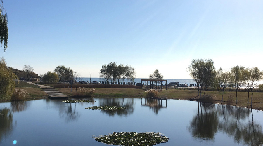 Hunan Philippines Study Abroad Consultation Service