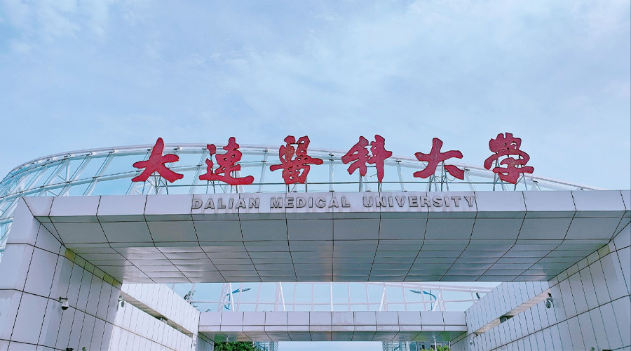 Hunan Philippines Study Abroad Consultation Service