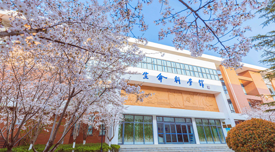 Hunan Philippines Study Abroad Consultation Service