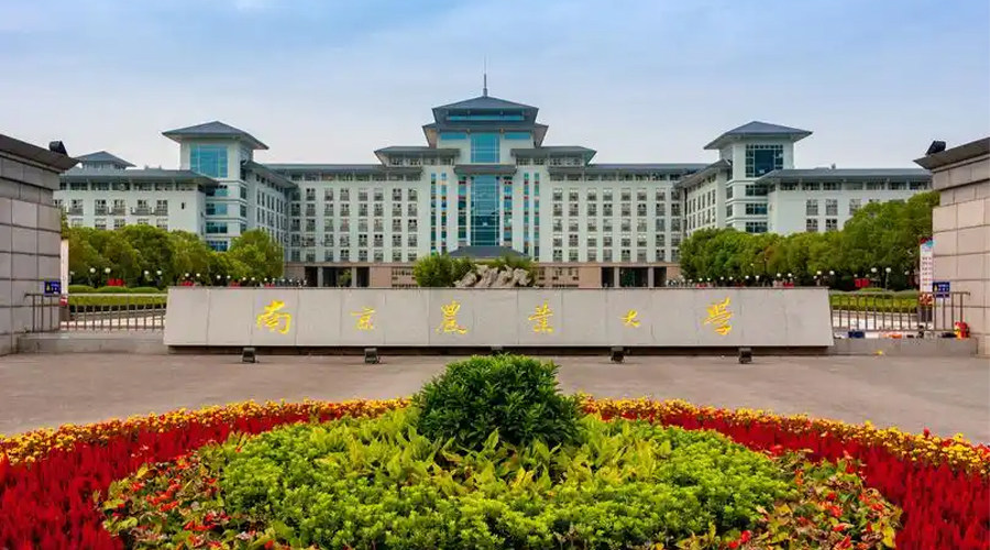 Hunan Philippines Study Abroad Consultation Service