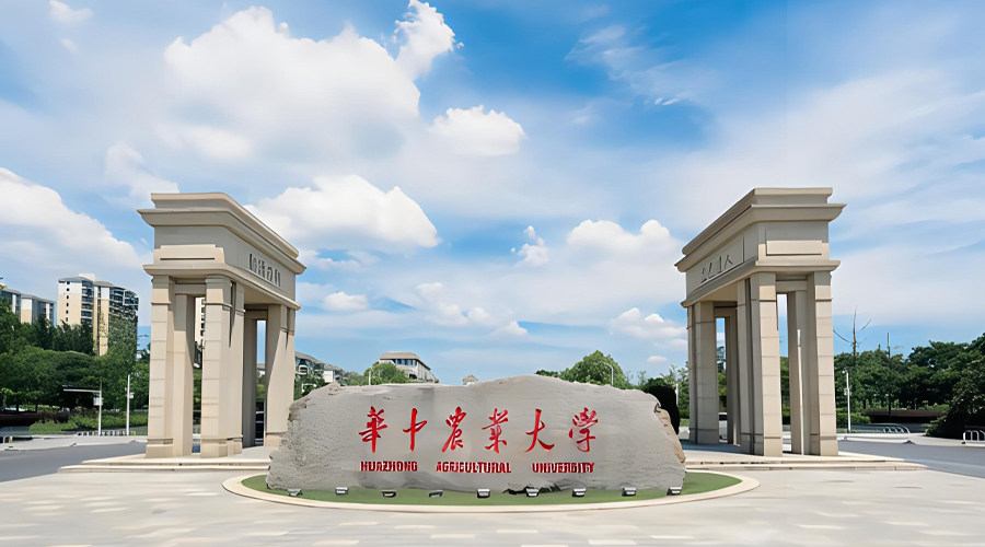 Hunan Philippines Study Abroad Consultation Service