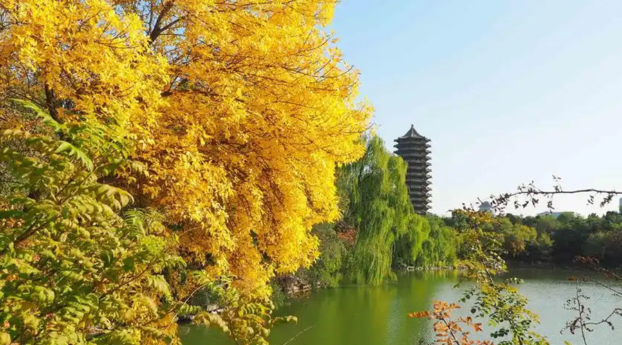 Hunan Philippines Study Abroad Consultation Service