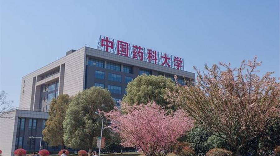 Hunan Philippines Study Abroad Consultation Service