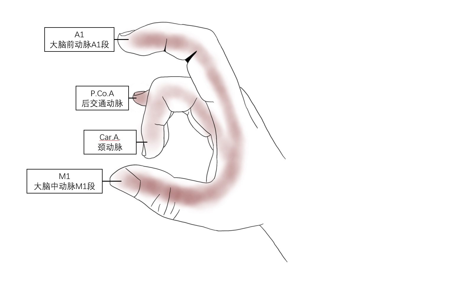 哈尔滨医科大学附属第二医院