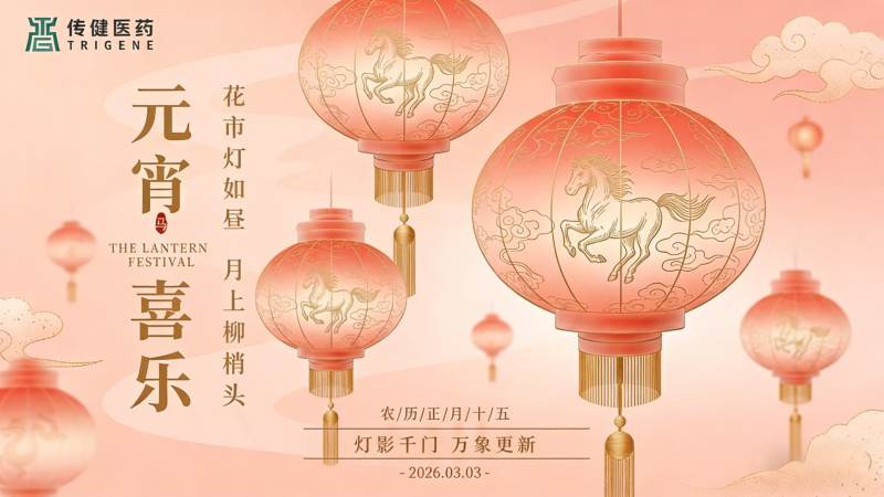 元宵喜乐 | 灯影千门，万象更新