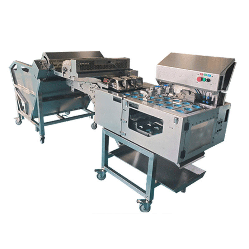 Wash the eggs with water and add three rows of egg knockers.